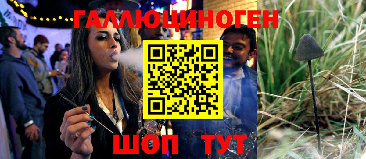 Псилоцибиновые грибы Magic Shrooms  Вход с VPN  Котовск 
